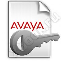 AVAYA 217653