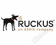 Ruckus E25G-SFP28-SR