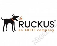 Ruckus 10G-SFPP-TWX-P-0501