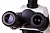 Микроскоп Levenhuk (Левенгук) MED 900T, тринокулярный 